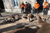 dsc_0026.jpg