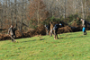 dsc_0003.jpg