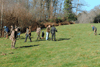 dsc_0005.jpg