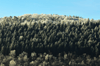 dsc_0001.jpg