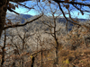 dsc_0002.jpg