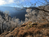 dsc_0003.jpg