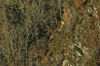 dsc_0006.jpg