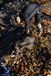 dsc_0010.jpg