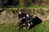 dsc_0032.jpg