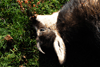 dsc_0035.jpg