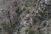 dsc_0001.jpg