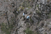 dsc_0005.jpg