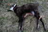 dsc_0012.jpg