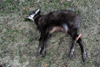 dsc_0013.jpg