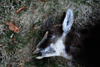 dsc_0014.jpg