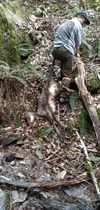 dsc_0017.jpg