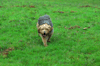dsc_0004.jpg