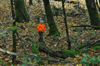 dsc_0012.jpg