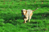 dsc_0002.jpg