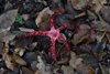 dsc_0008.jpg
