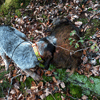 dsc_0013.jpg