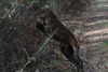 dsc_0014.jpg