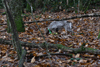 dsc_0010.jpg