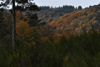 dsc_0012.jpg