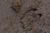dsc_0015.jpg