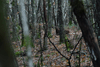 dsc_0009.jpg