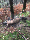 dsc_0017.jpg