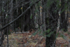 dsc_0047.jpg