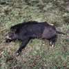 dsc_0048.jpg