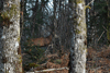 dsc_0008.jpg