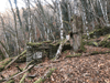 dsc_0010.jpg