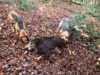 dsc_0003.jpg