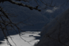 dsc_0002.jpg