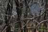dsc_0006.jpg