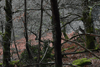 dsc_0007.jpg