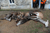 dsc_0028.jpg
