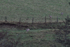 dsc_0009.jpg