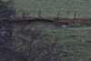 dsc_0011.jpg