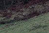 dsc_0012.jpg