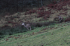 dsc_0013.jpg