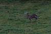 dsc_0016.jpg