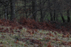 dsc_0021.jpg