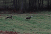 dsc_0022.jpg
