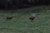 dsc_0025.jpg