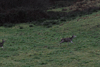 dsc_0028.jpg