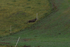 dsc_0029.jpg