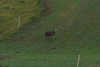 dsc_0030.jpg