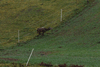 dsc_0031.jpg