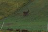 dsc_0032.jpg
