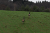 dsc_0037.jpg